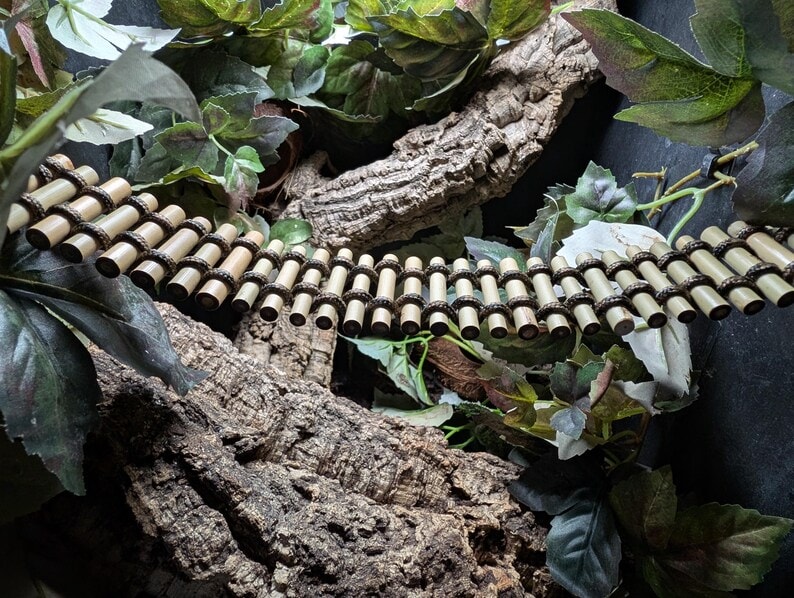 The Reptiles of Eden