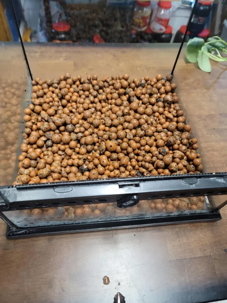 Bio balls drainage layer in the bottom of a terrarium