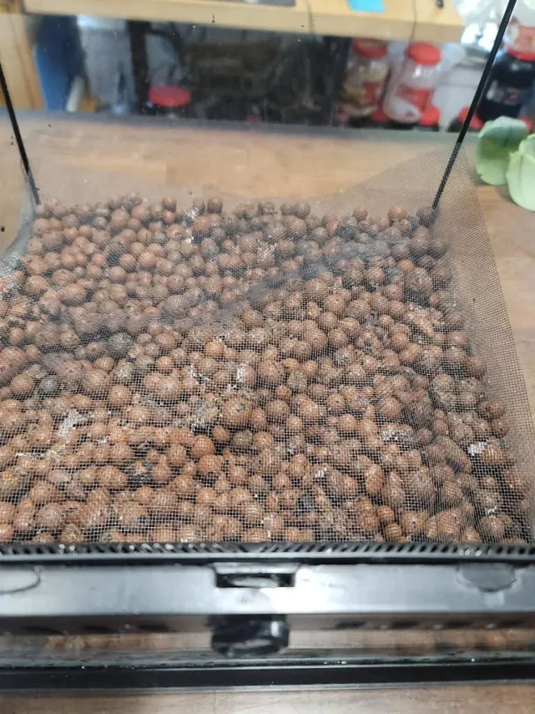 Screen separator laid over bio balls in terrarium